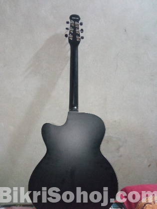 Guiter